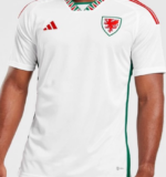 Wales World Cup Away Shirt